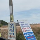 푸른섬 캠핑장 이미지