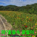 이슬비 카카오 검색결과