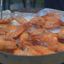 천도수산영희네