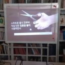 안쌤독서논술