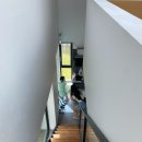 플로레스타 이미지