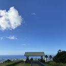 코코 스타디움 | 하와이여행 9일차 : 72번국도(탄탈루스전망대 오프더훅포케 할로나블로우홀 코코크레이터식물원)