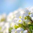 오늘은 정신건강의학과의원 이미지