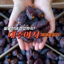 우래골 대추나무 농원 | 대추야자 효능, 맛, 칼로리까지 한 번에 정리