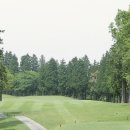 그랜드 골프클럽 이미지