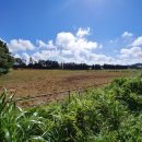 샛별축산 이미지