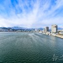 청초호유원지(북측) 이미지