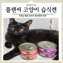 음수량높이는 그레이비 습식캔 플랜씨 급여후기