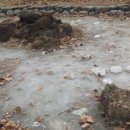 신동근린공원 이미지