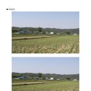 송림1리 이미지