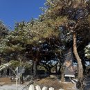 티아유 - 노원구 덕릉로126길 2 | 남양주 브런치카페 아유스페이스 후기｜서울 근교 드라이브 코스 추천