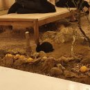 아라농장 이미지