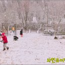 자연유아학교