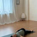 대전시니어요가 추천｜50~60대도 부담 없이 시작하는 건강요가
