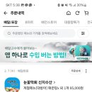 눈꽃막회신지수 | (신지수산)중화산동 눈꽃막회 신지수산