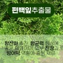 자생약국 이미지