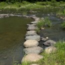 징검다리 이미지