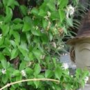 운화카써비스 이미지