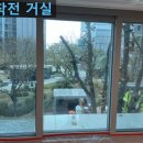 썬팅파크