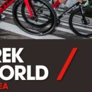 월드코리아 이미지