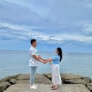 주문진점 현대자동차 | [일상] 24년 7월 3째주 호랑이의 일상