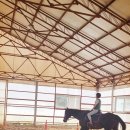 아라뱃길 승마클럽 이미지