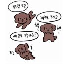 몬모니 Daum카페