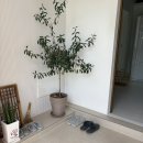 조양 | 경주 미온수 풀빌라, 조양가옥 후기(세가족 돌전 아기 동반)
