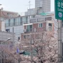 오리마당 | 강동구 암사동 오리고기 맛집 솔직후기 @마당유황오리