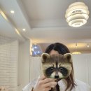 경기광주 탈모케어 전문 <스파오라 경안점> 두피케어 헤드스파 꼼꼼 후기