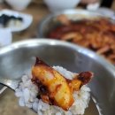 팔보 이미지