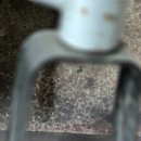 노란케어 119 이미지