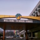 김정남농장 이미지