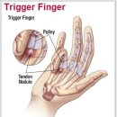 동화한의원 이미지