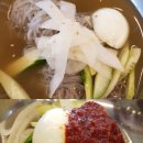 힘센 민물장어 이미지