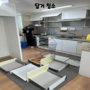 율현마을동원로얄듀크아파트1차 | [빡청] 김해 율현마을동원로얄듀크1차 이사청소(입주청소)
