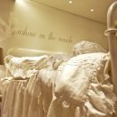 빠세꼼뽀제 이미지