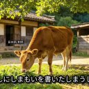 벌레로부터 소를 지키는 ‘줄무늬’! (虫から牛を守る縞模様)単語 이미지