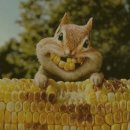 강냉이PC 이미지