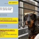 까꿍이 하우스 국민일보