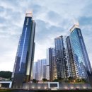 에코파인 이미지