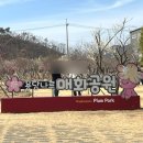 꽃나루공원 | 김해 매화 꽃구경 추천 용당나루 매화공원 실시간 후기 (3/8방문)