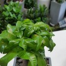 백운2동주민센터 이미지