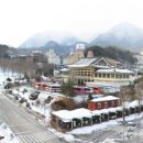 관-비-3-1 이미지