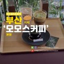 새들의 정원 | 부산 온천장 카페 모모스커피 본점 분위기 좋은 여행지 데이트코스 내돈내산