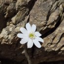 보수초등학교 이미지