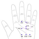 수지침 기본방 혈자리 이미지