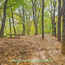 백마산주유소 이미지