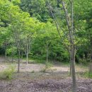 안평농장 이미지