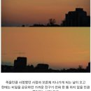 그냥봄날